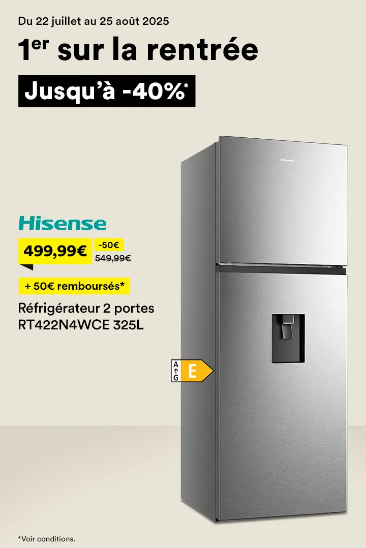  Réfrigérateur 2 portes RT422N4WCE 325L HISENSE 